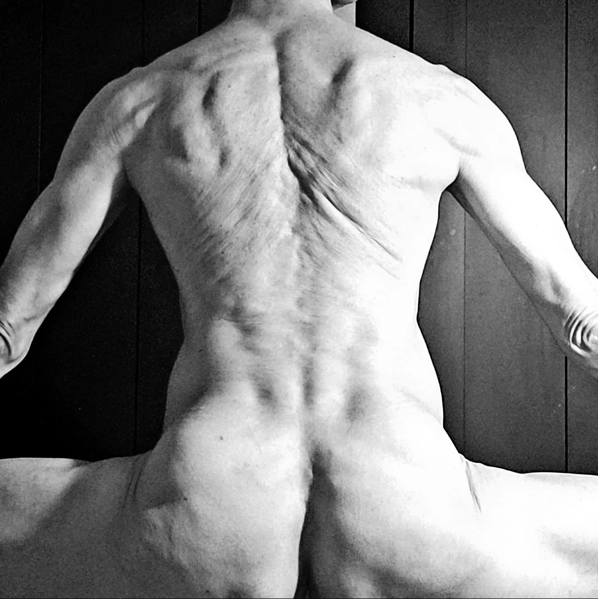 Back Study posted by Keepy13