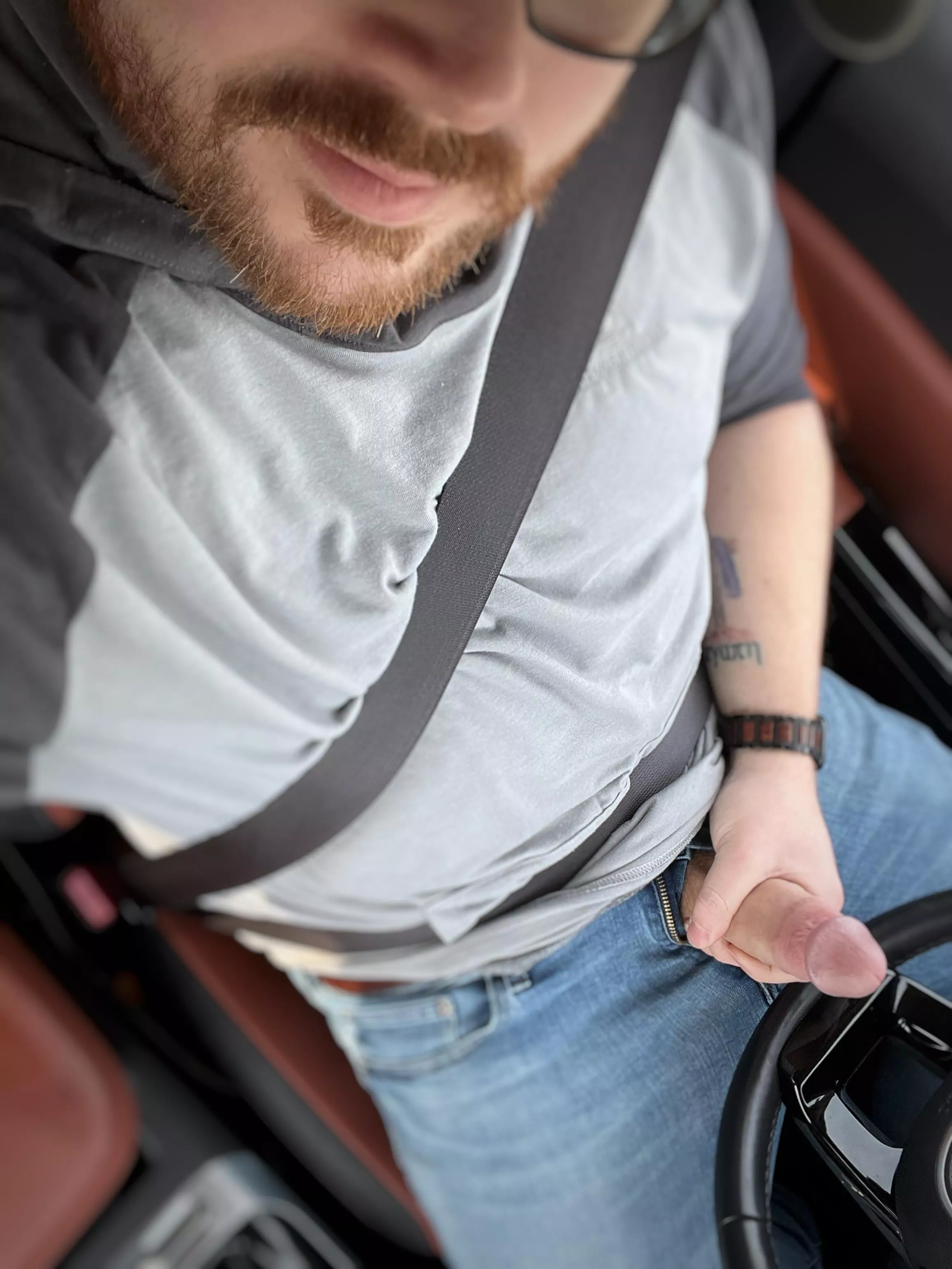 Be my copilot? posted by Restrictedacxess