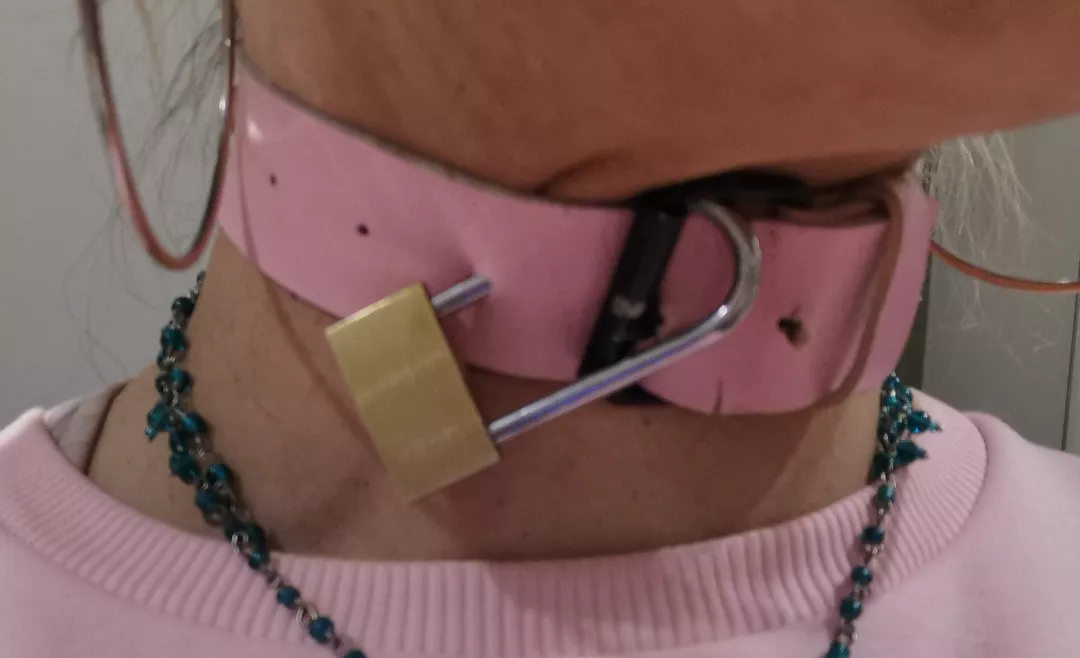 collar lock posted by isa_bellezza