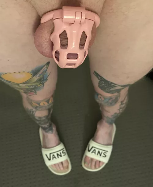 Cute new slides 🥰 do they match the cage by ava_fb