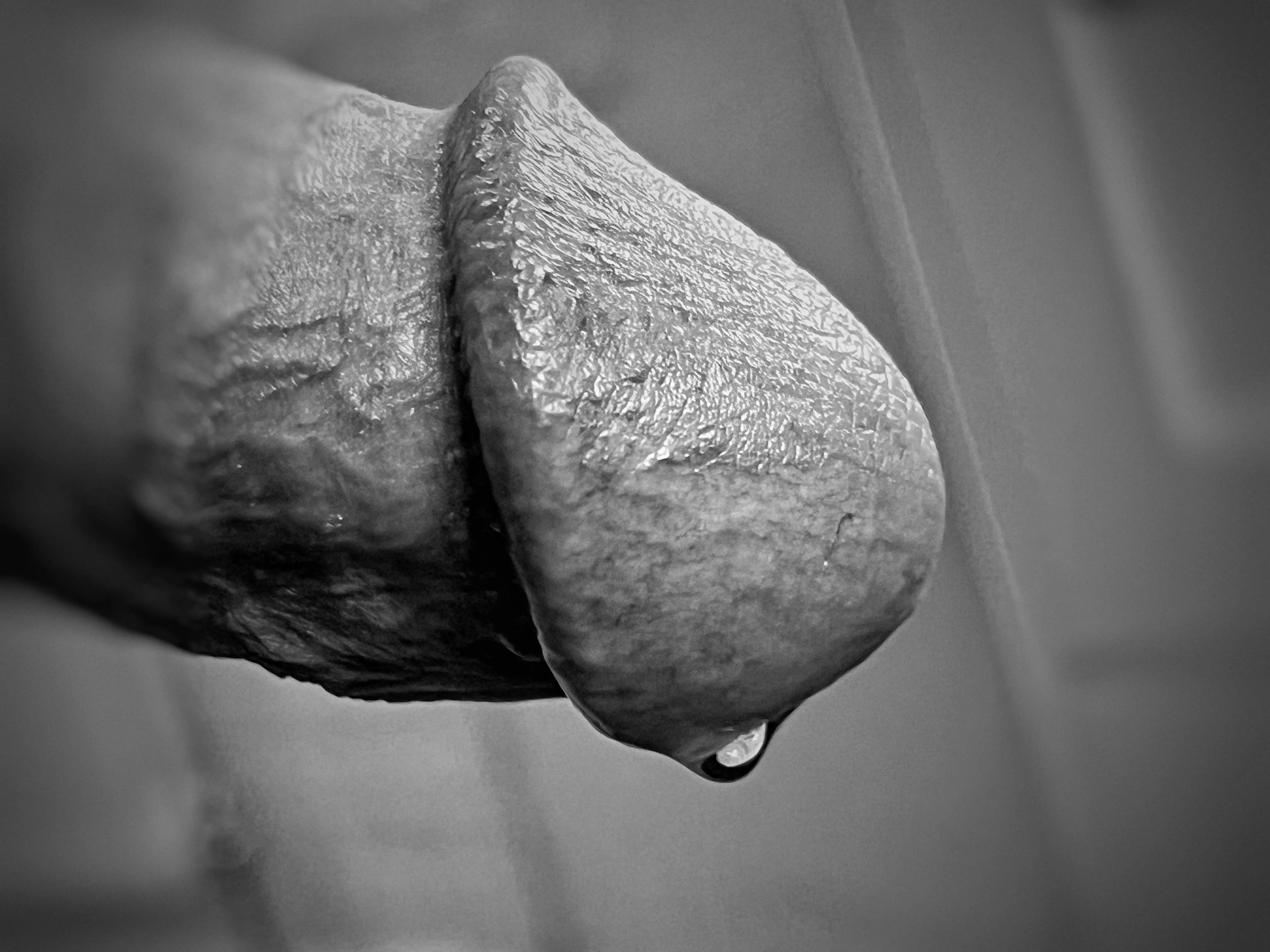 Desperation. posted by Sea-Reference4069