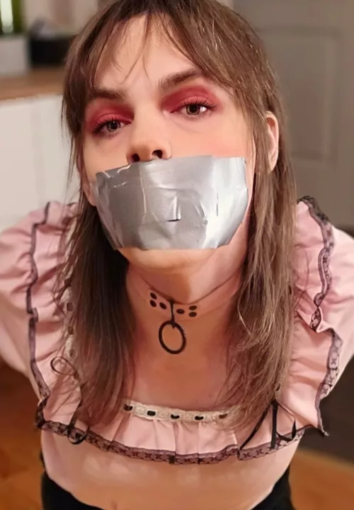 Do you like your maids quiet? I'll only make mmmph noises! by killkitty1