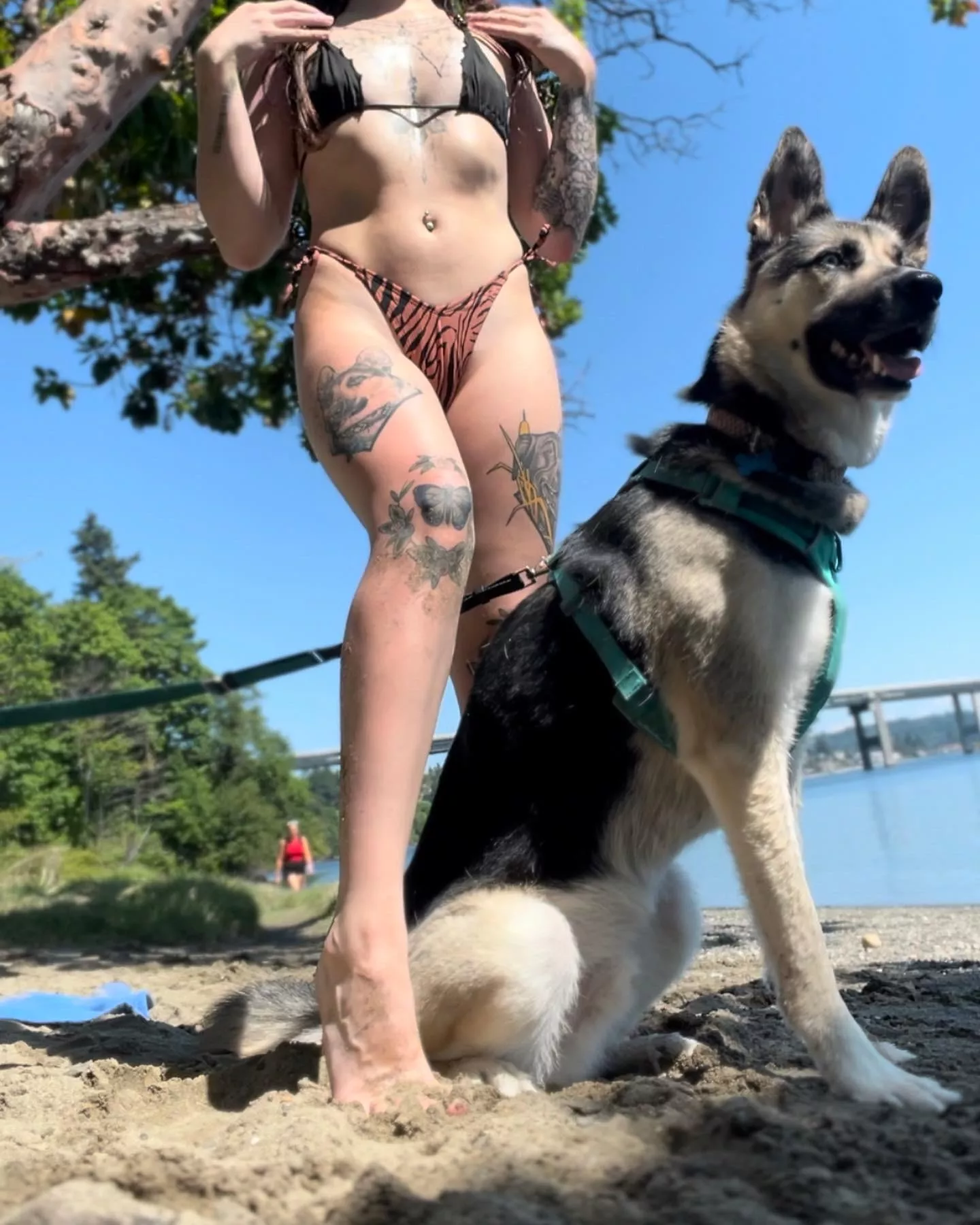 Do you want to take a walk with us? posted by caiopsm