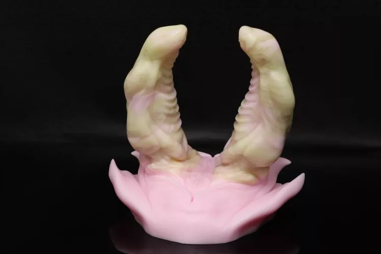 EEEEK!! I got this amazingly adorable rogue champagne cake Bruce today! What do you guys think? Is it really a rogue champagne cake? Also I'd love to hear some reviews on Bruce. by Dutch_Kitsune