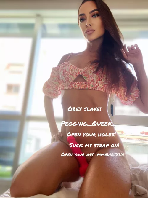 Fantastic Queen awaits her submissive. by pegging_queen_