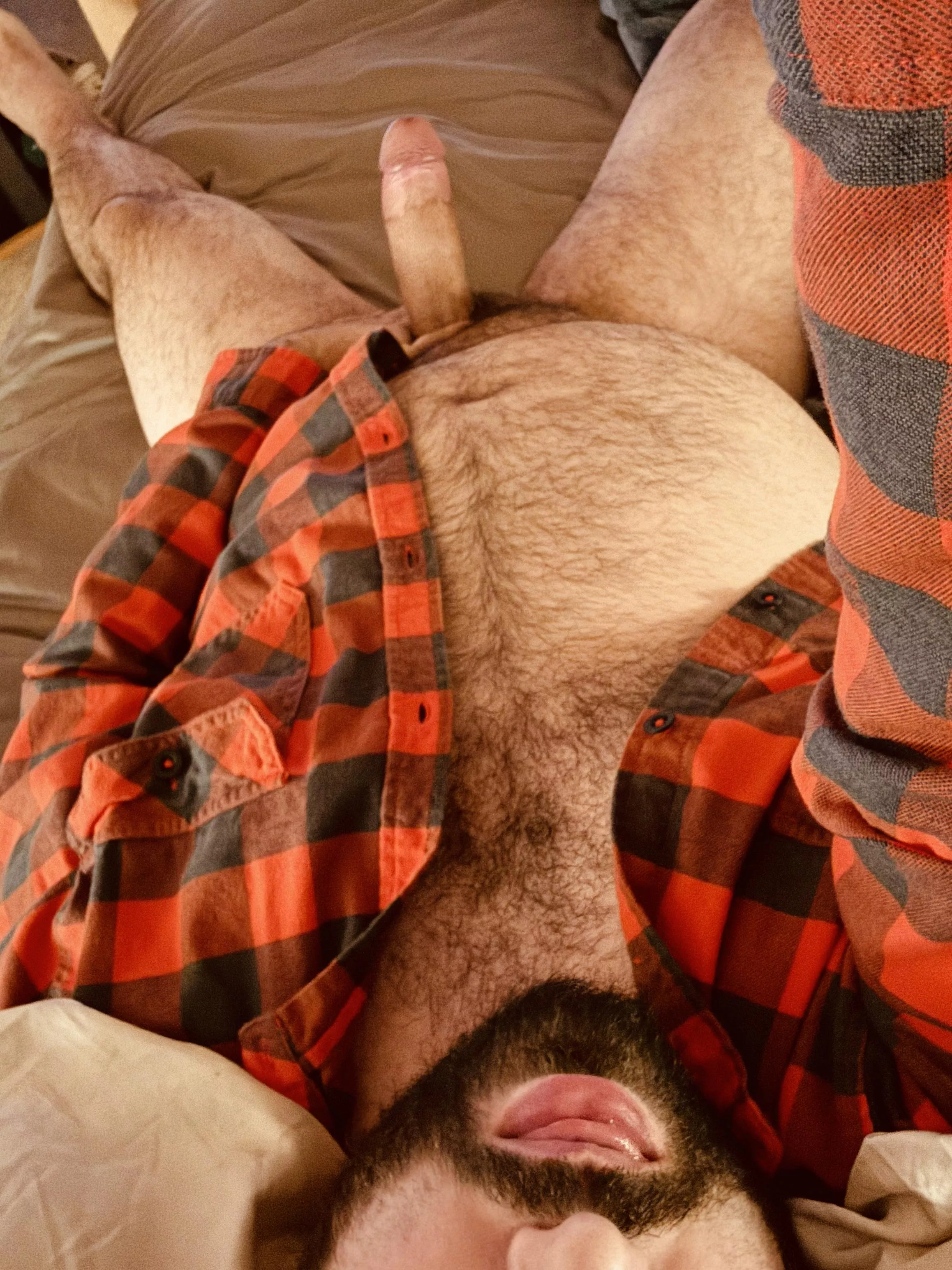 Felt rustic… posted by Any-Plankton-8985