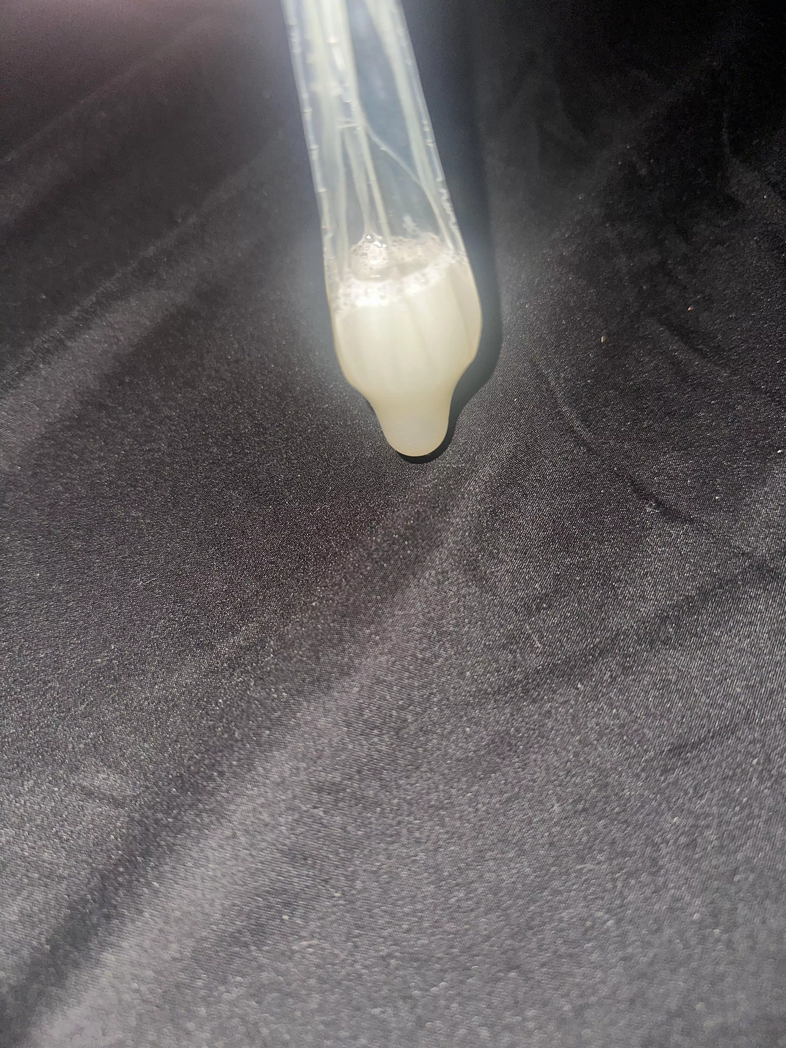 Fresh milked Load, tell me how I should swallow it. posted by Fine-Staff3635