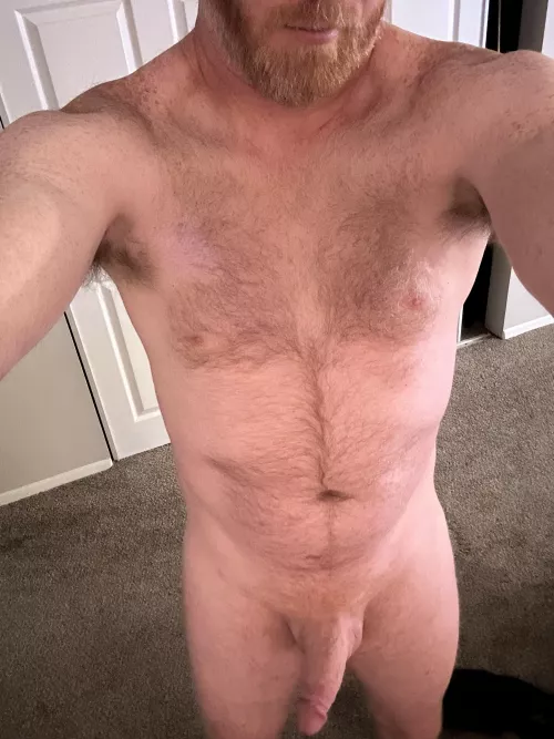 Good morning, how do you like my dad bod? by bearfedging