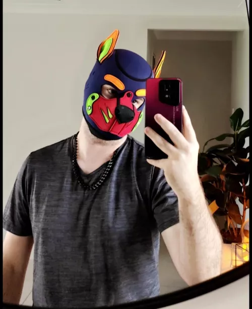 Good Morning 🐶 by ukaussie69