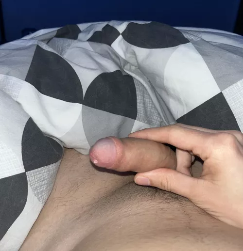 He’s crying cause he’s lonely by Working-Abrocoma-397