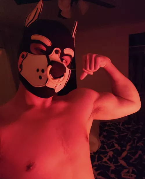 I'm only good at this one pose, oops by poke_pup