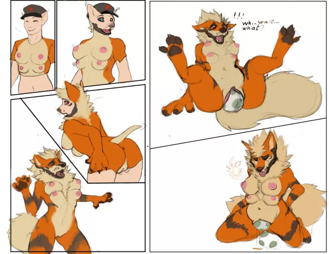 Magical Arcanine Shirt Transformation (Art by CocoFox) by WolfMutt9