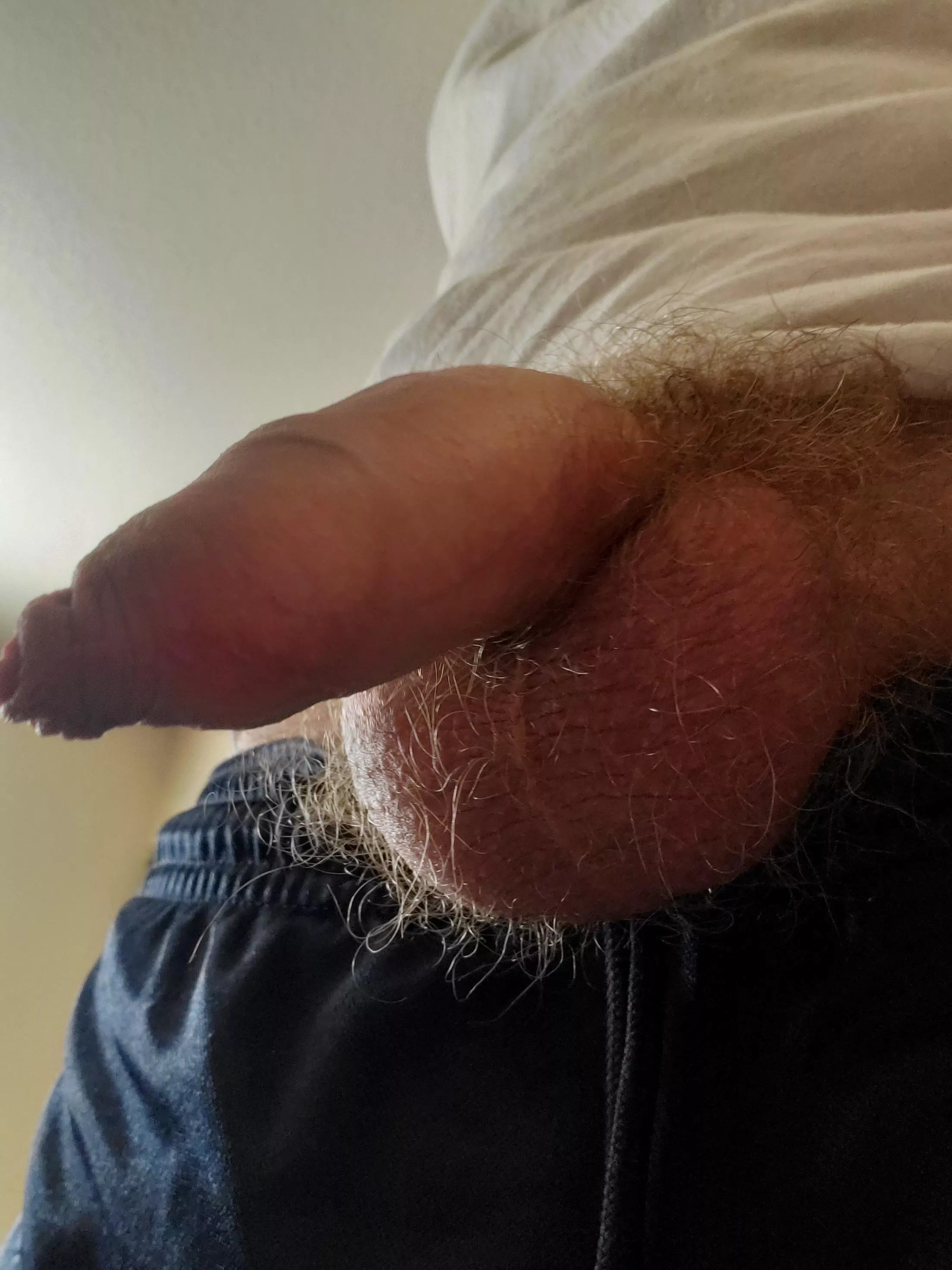 My hairy balls for you posted by showmeyourballs00