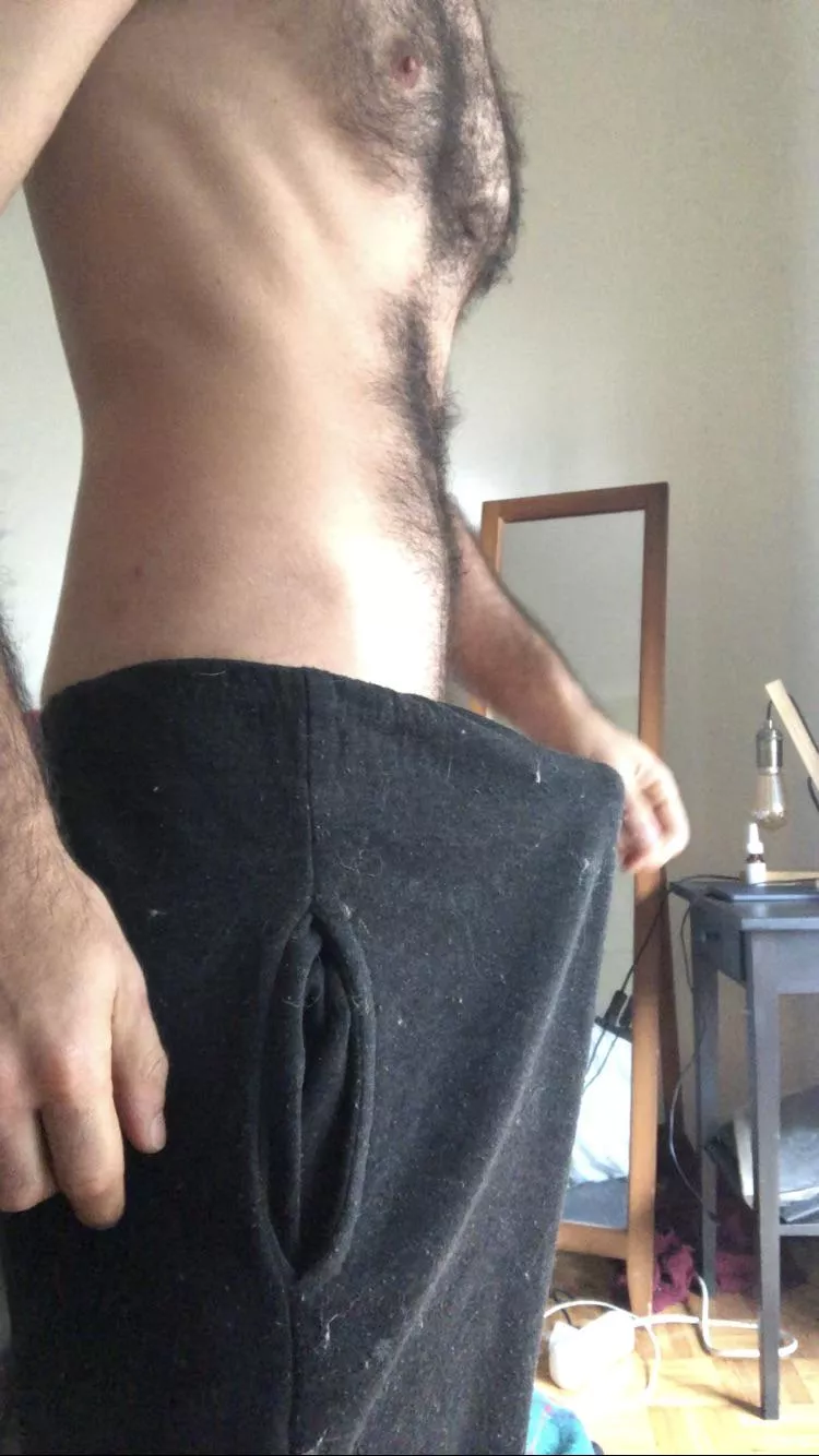 Oh, hey there. posted by Andarasolta