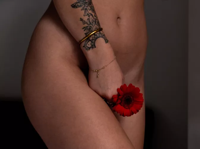 perfect wife material? by PrettyAlexandra