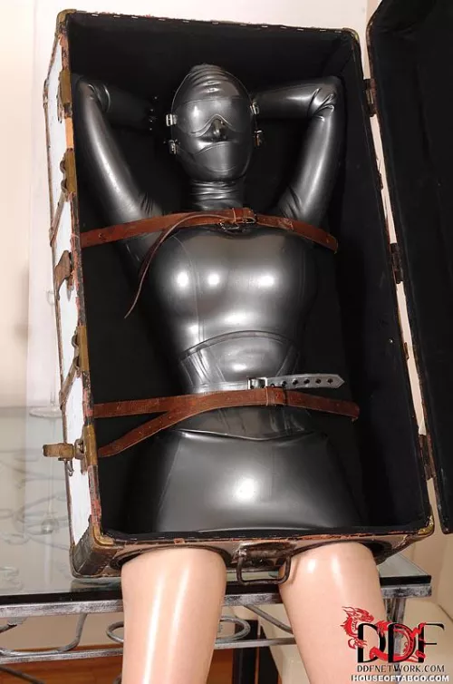 Personal Plaything by Bonding_Enthusiast