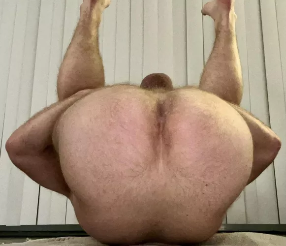 Ready to have the straight fucked out of me by curiousbird1234