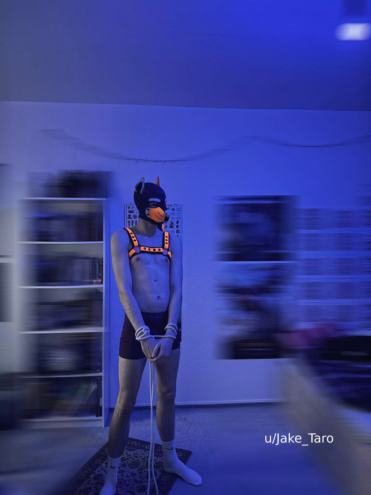 somehow i got tangled up again 👀 posted by Jake_Taro