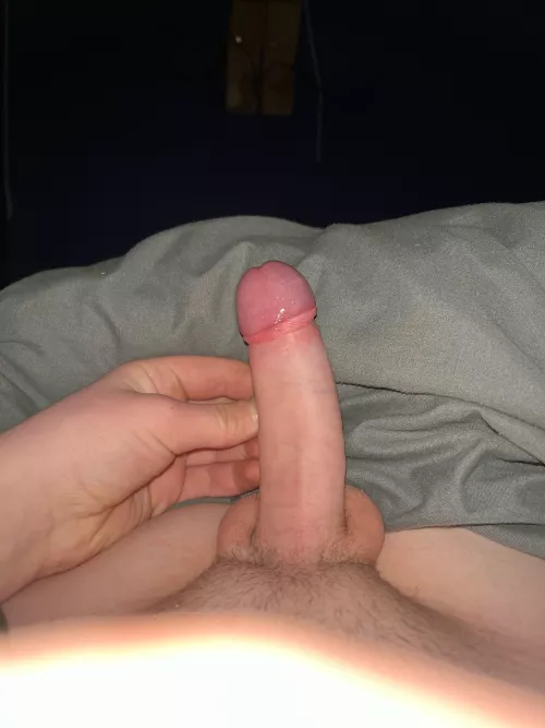 Tight foreskin shiny head who wants to cum hang out by Putrid_Molasses_9913