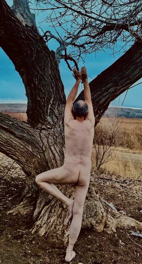 🌳Tree Pose Tuesday 🌿 by Fickle-Repair486