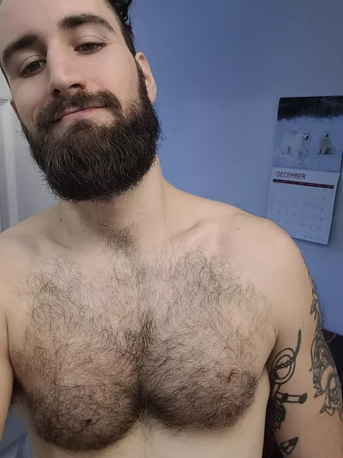 What's best ? The beard or the fur? 🦦 (29) by HotBerserkr