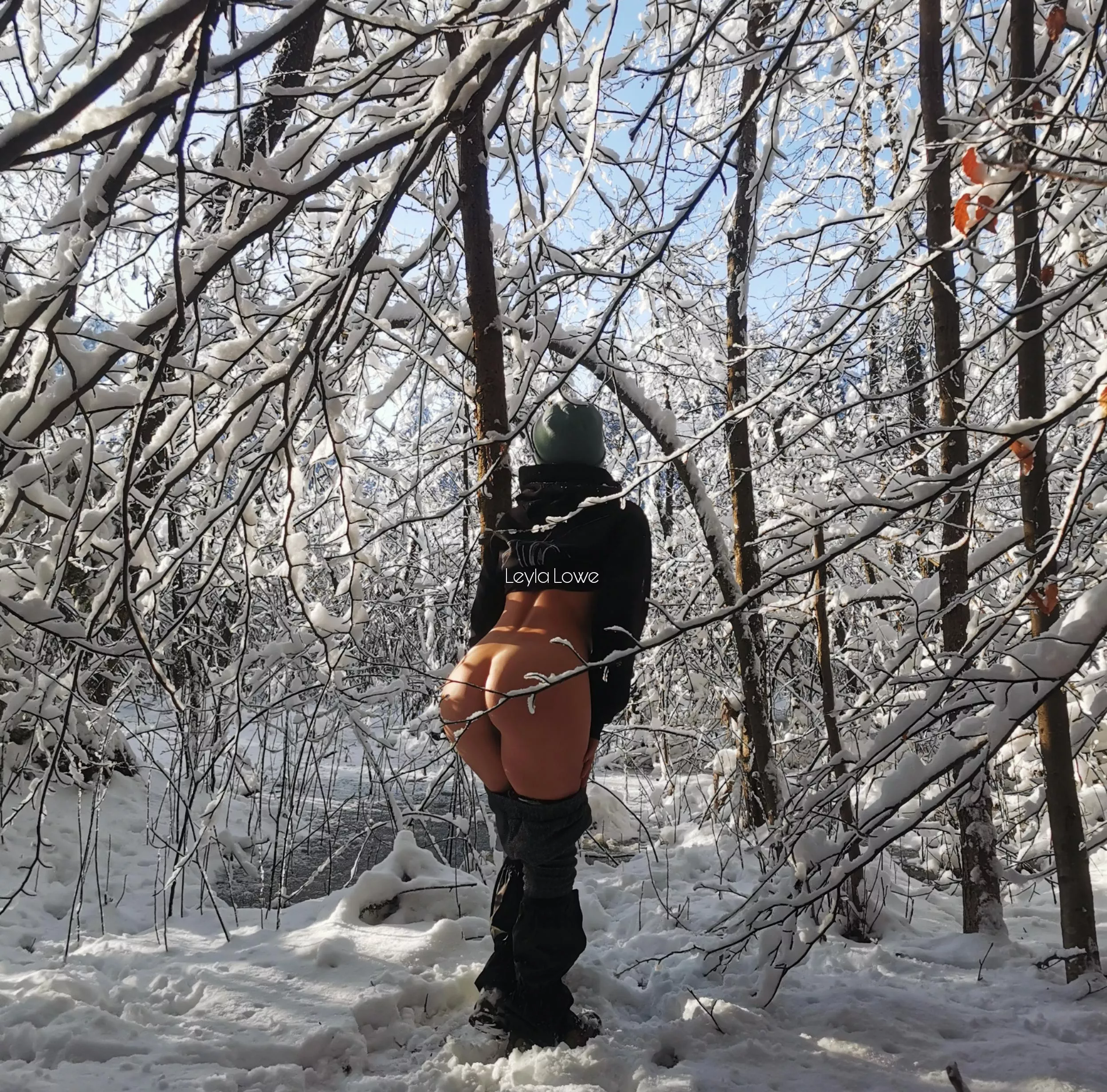 Winter fairytale ❄️ posted by LeylaLowe