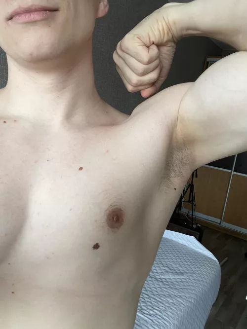 Would you sniff this while i pinned you down? yes or no by LadislavLavand