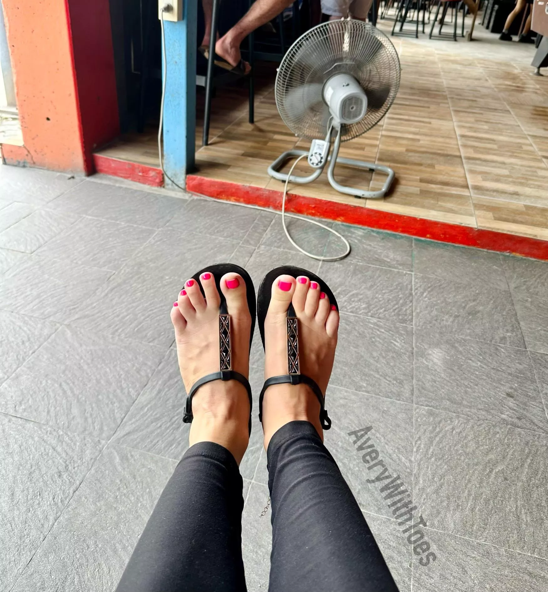 A fine specimen in its natural habitat posted by AveryWithToes