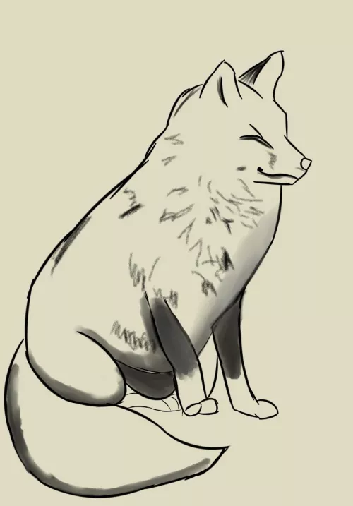 Fat fox sketch by SpaceDoge1