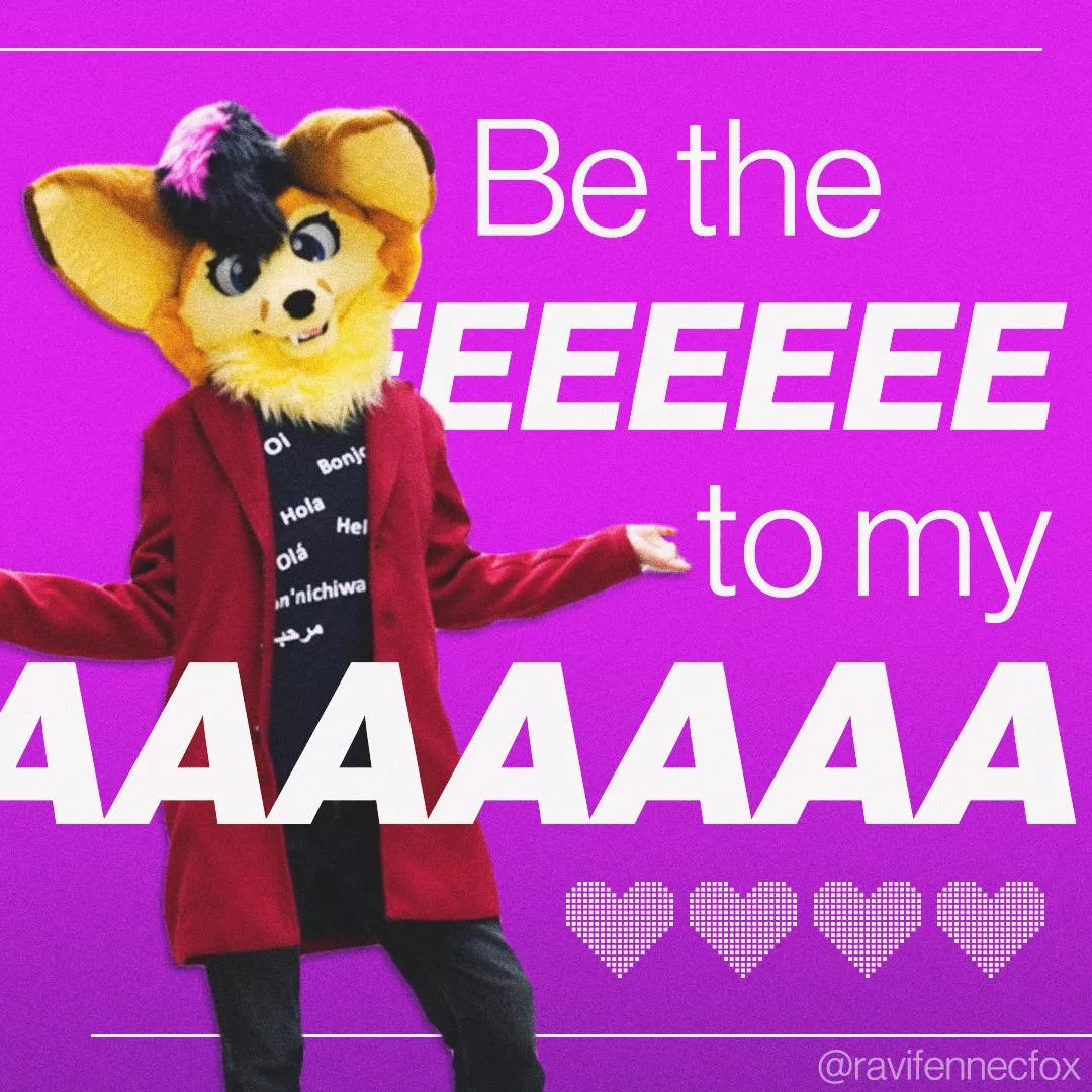 Fennecs on vday be like: posted by RaviFennec