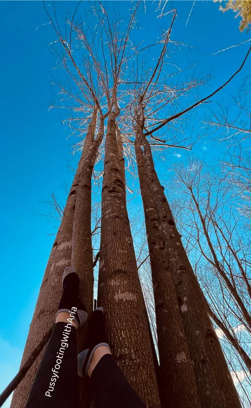 Happy heart day… by PussyfootingWithAria