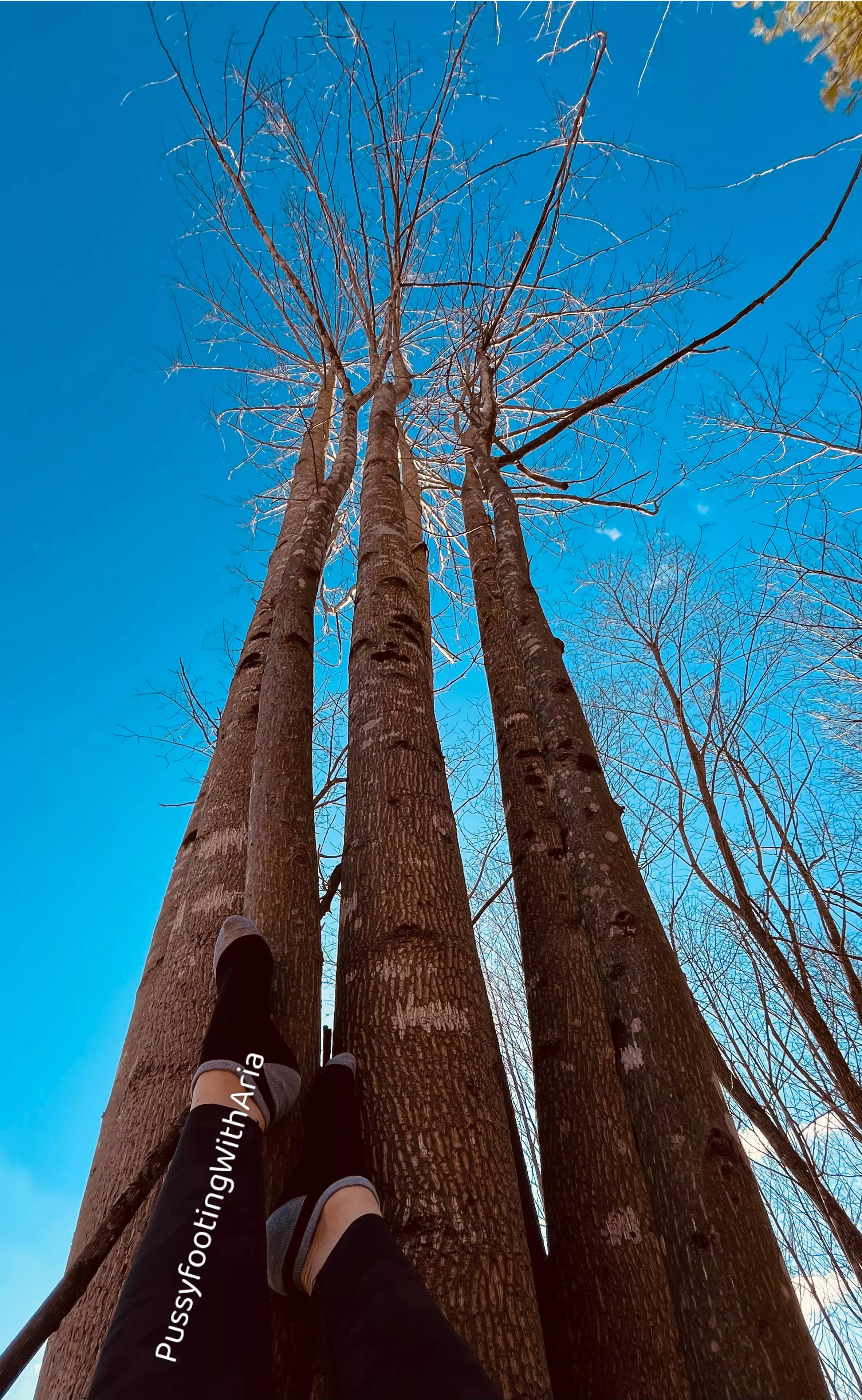 Happy heart day… posted by PussyfootingWithAria