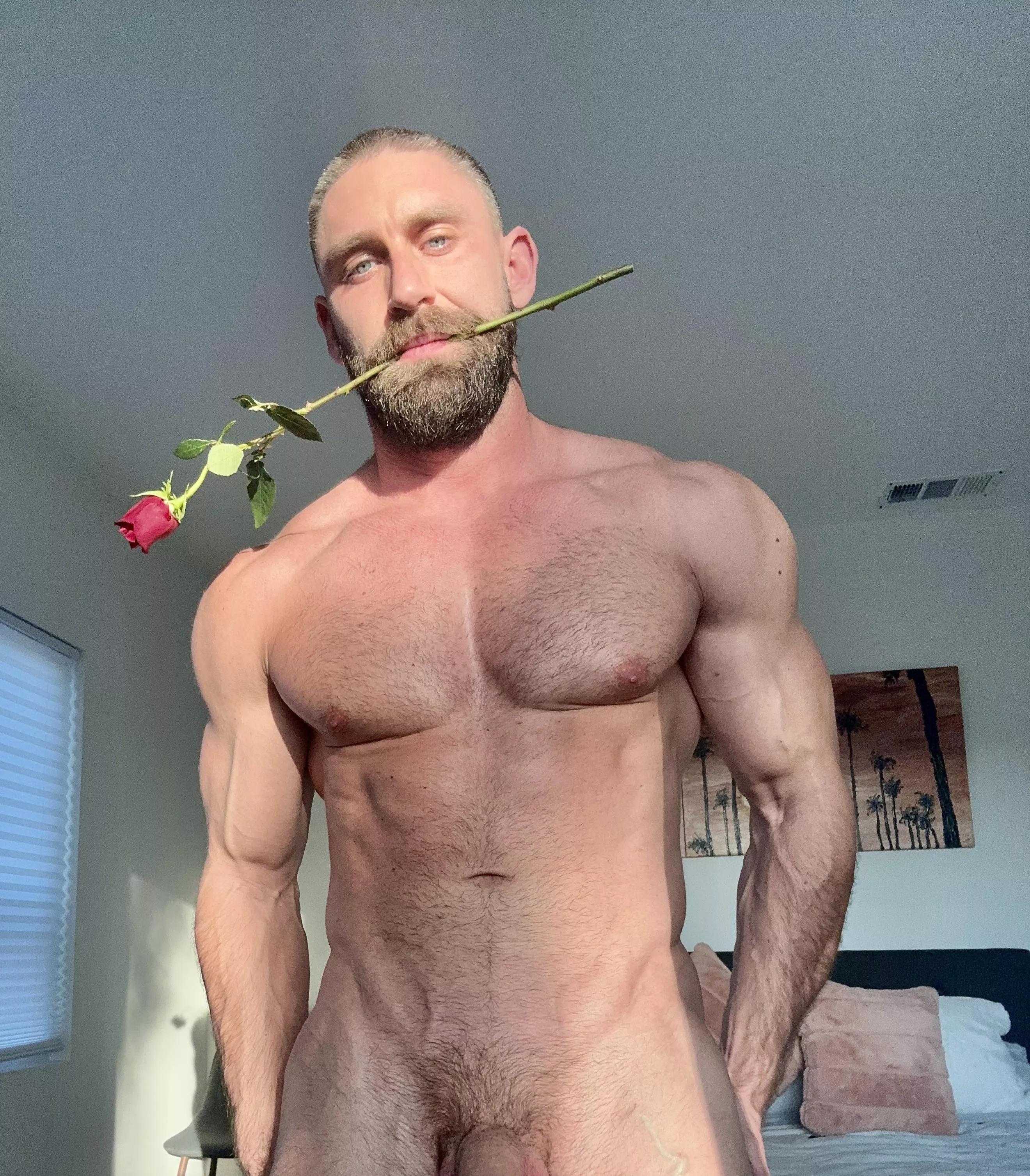 Happy Valentine’s Day! posted by onlygainzsteve