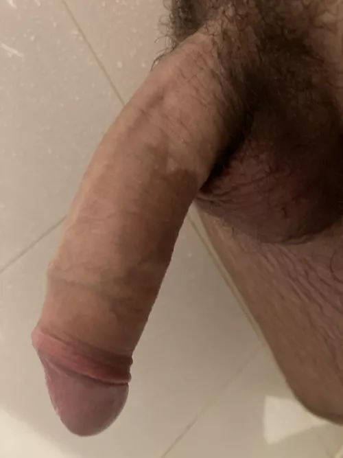 Have you dreamed about a fat cock this Valentine’s Day? by YourfavEuropeanBWC