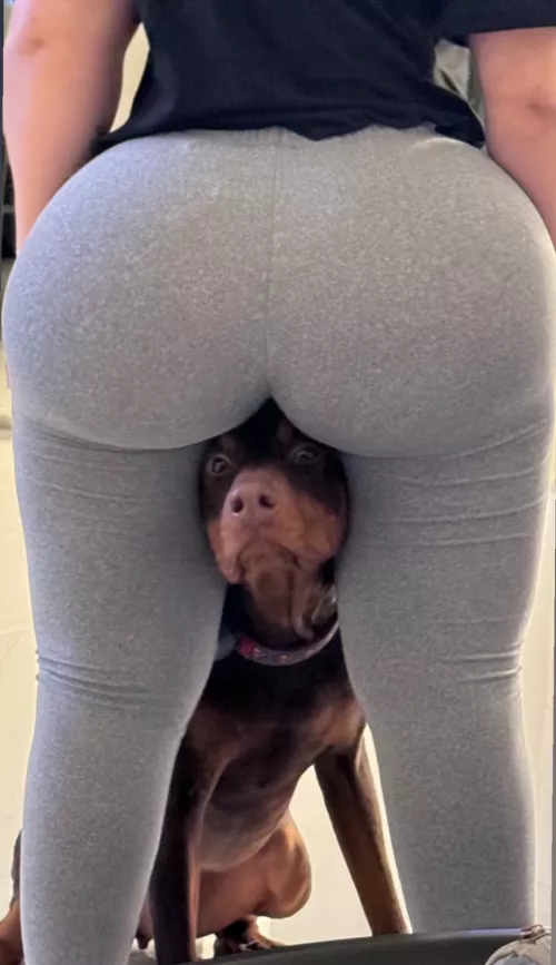 Hello Puppy by vocaza