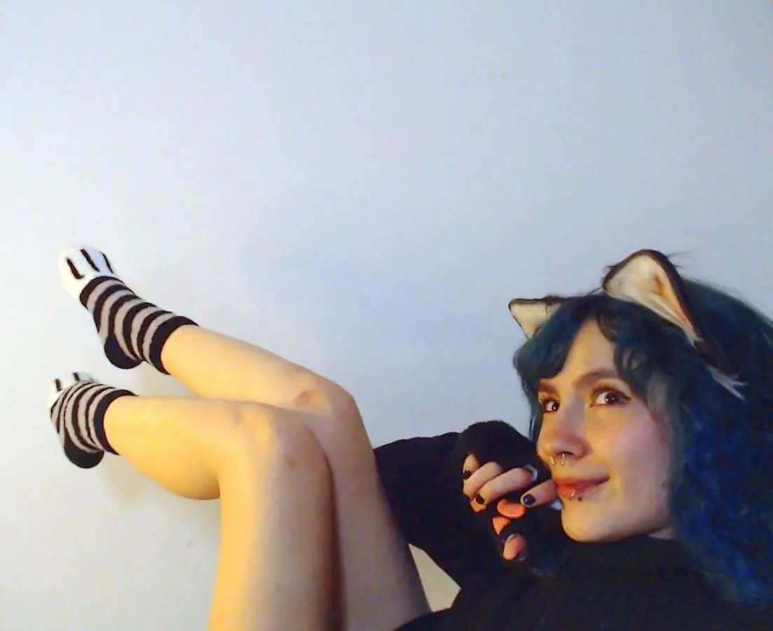 Hi, meow posted by sofia-imoon