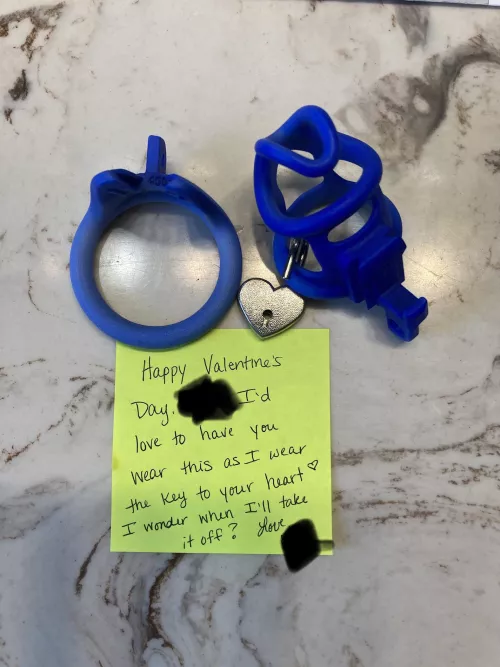 I guess my wife did have plans for Valentine’s Day. by cagedmmrsl