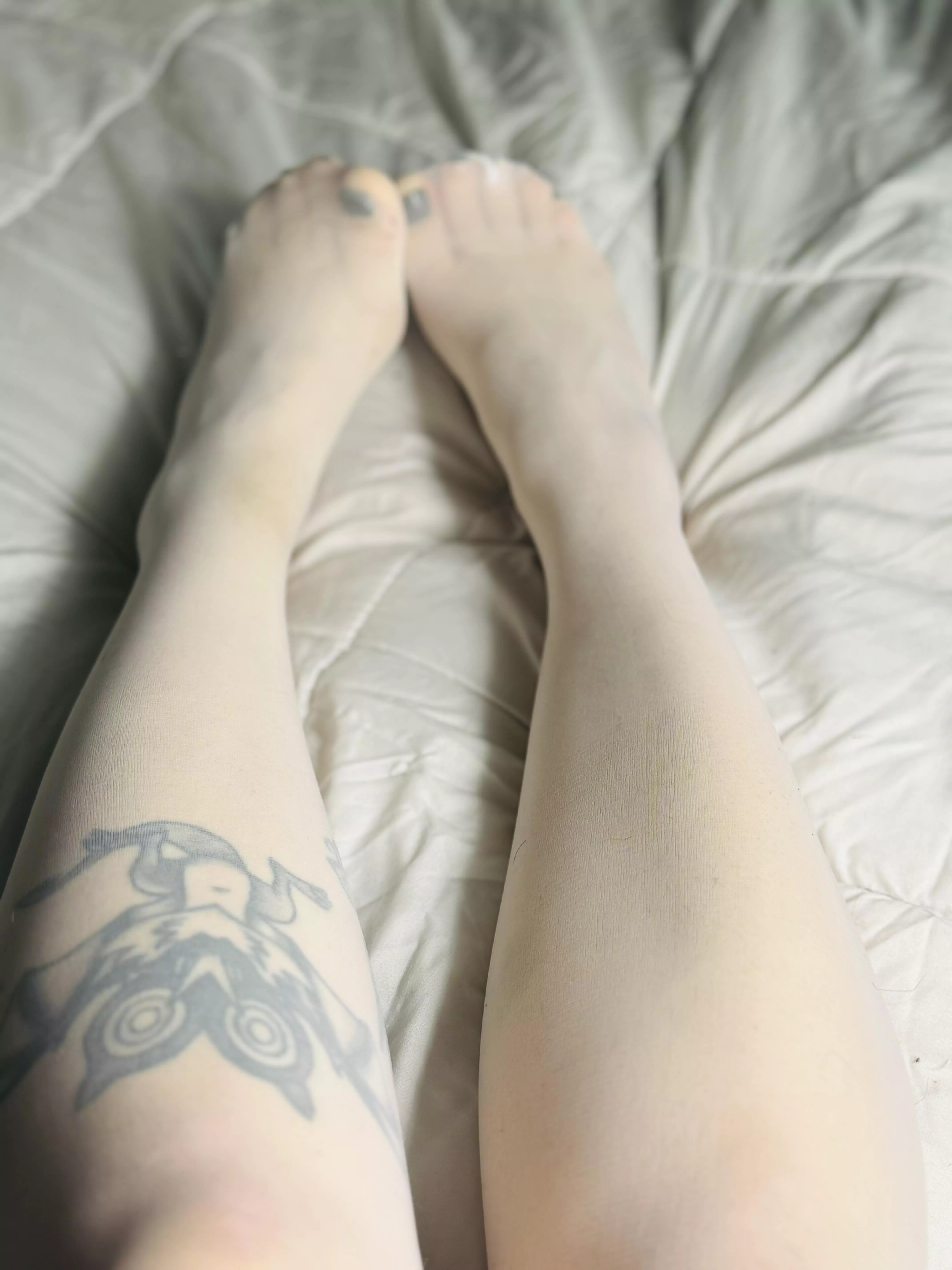 I like how my legs look in stockings posted by NOMADTVS