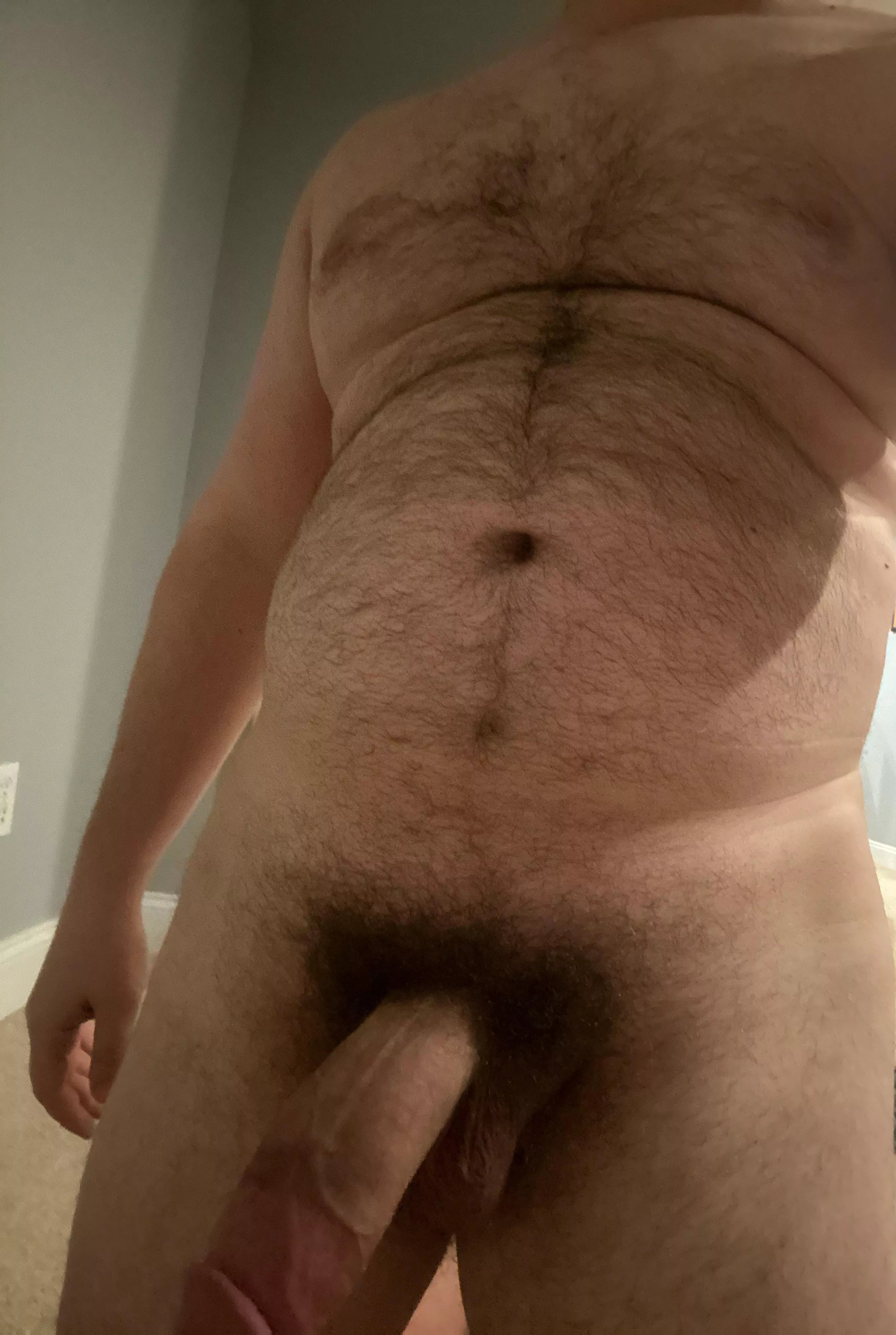 I think I’m going to let the fur out more posted by Defiant_Bottle_6079