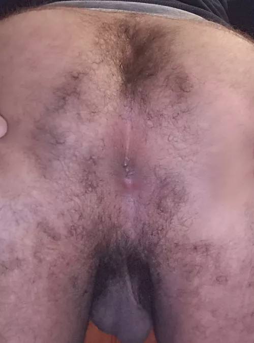 I wonder if my hairy butthole is appreciated here 🤔 by SexyPANDA306