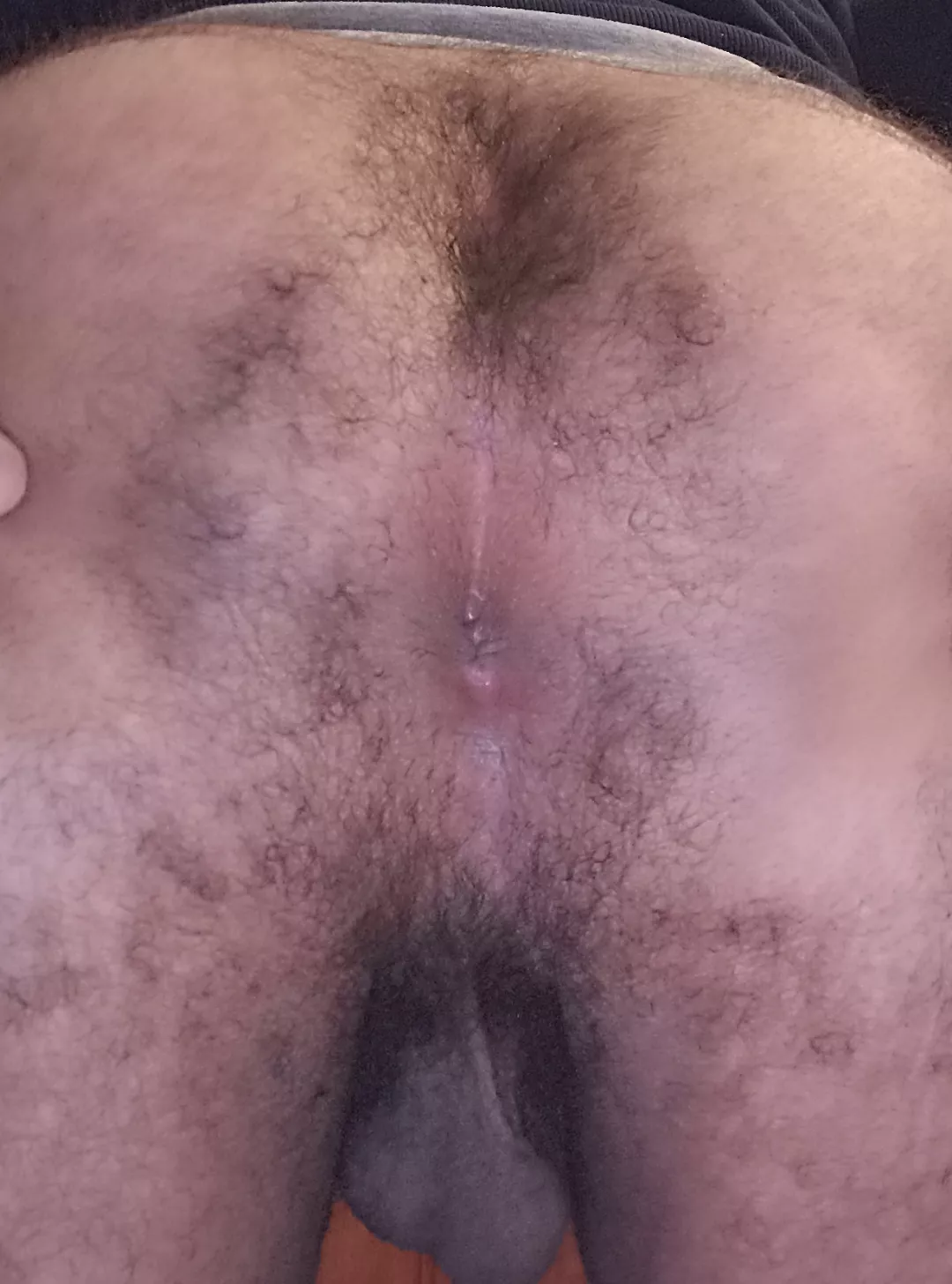 I wonder if my hairy butthole is appreciated here 🤔 posted by SexyPANDA306