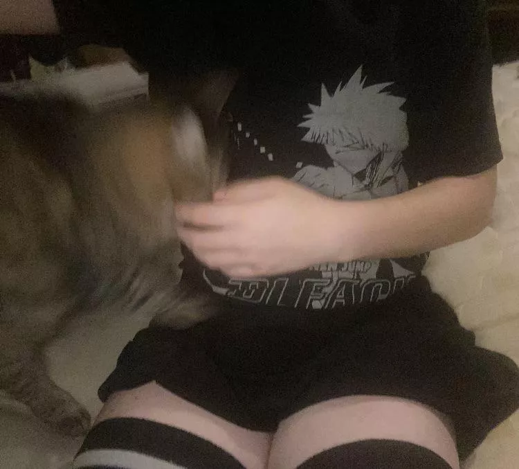 Kitty :3 posted by Sorry-Woodpecker4227