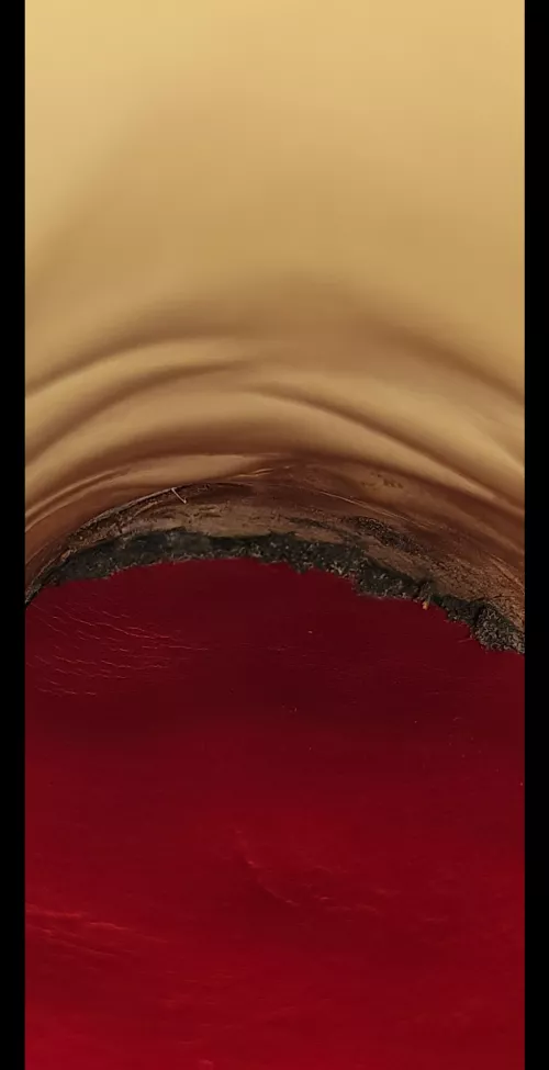 Mould? by Theboothinator