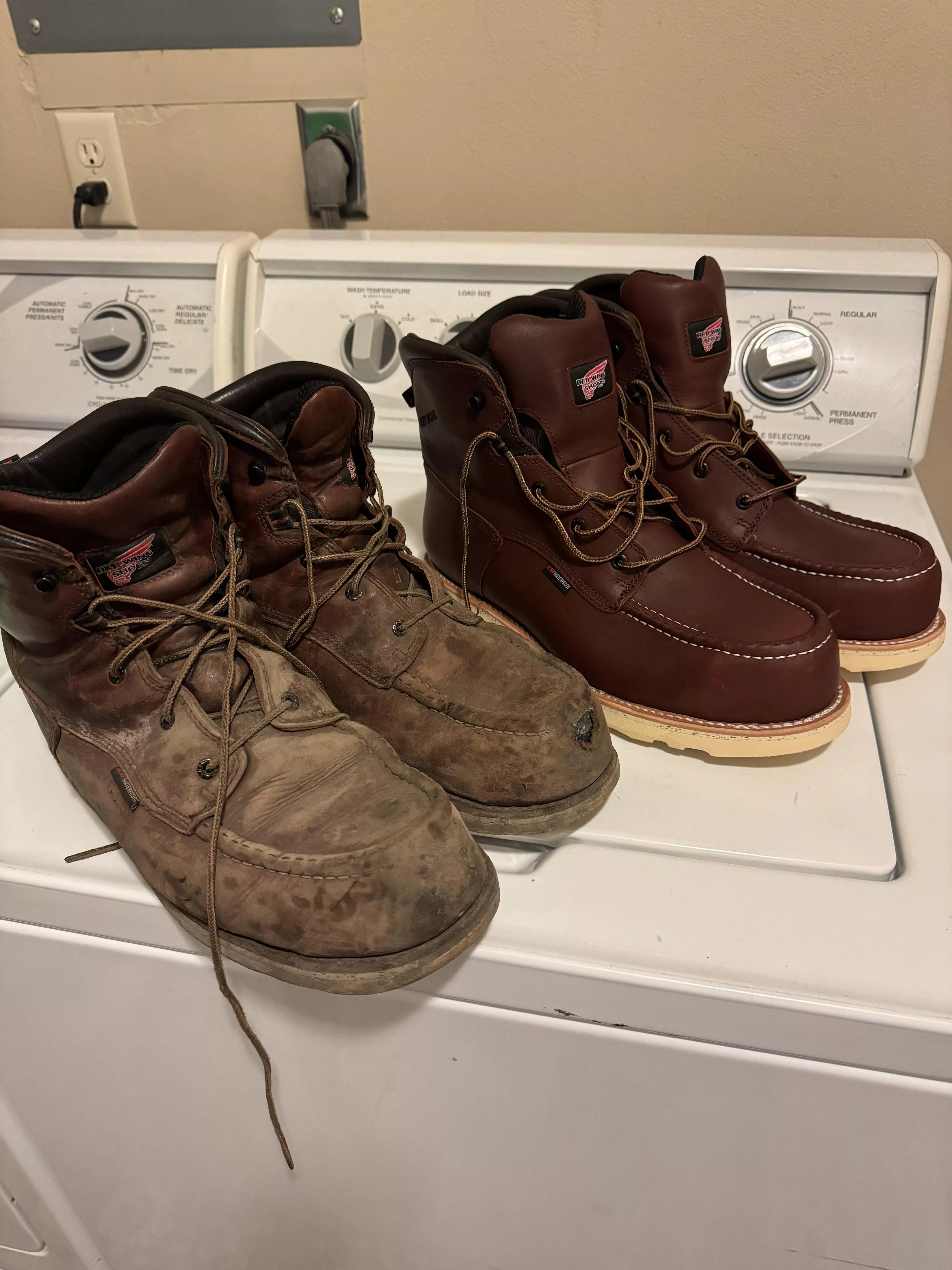 Red Wings posted by Pizz_247