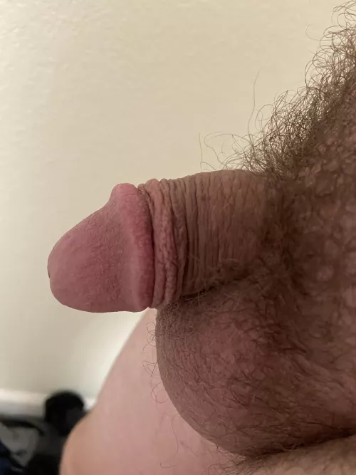 Shriveled up before my shower 🫣 really need to empty my balls. DM for pic trades if you have a really small dick too 😊 by derekrobinson1524