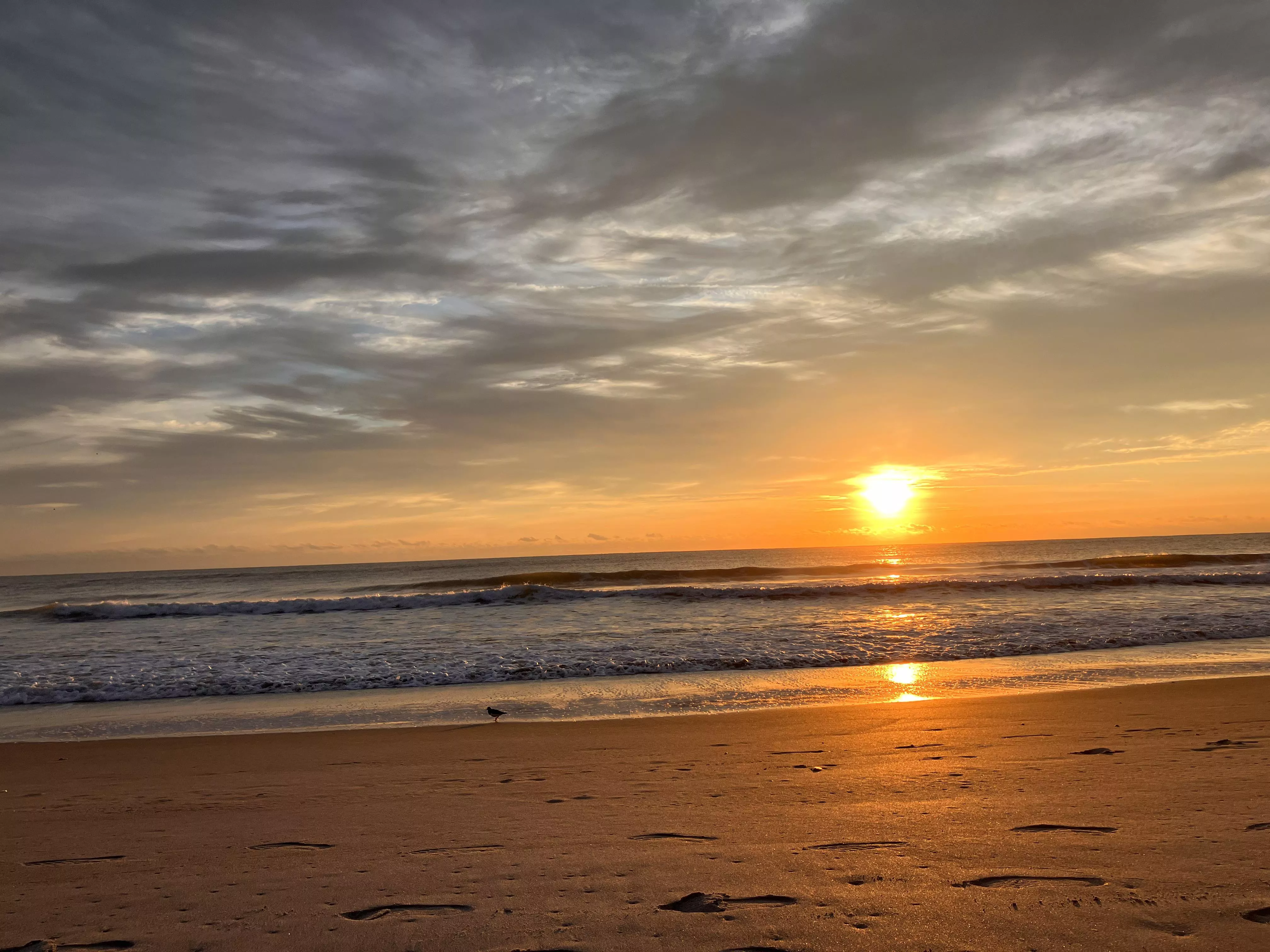 Sunrise or Sunset posted by AliasAlien317