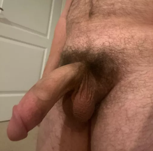 The bush provides some nice cushion by Defiant_Bottle_6079