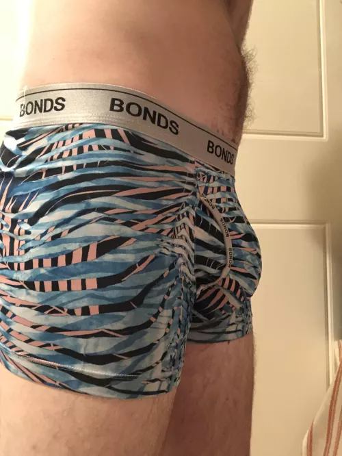 What do you think? by No_Bee8148