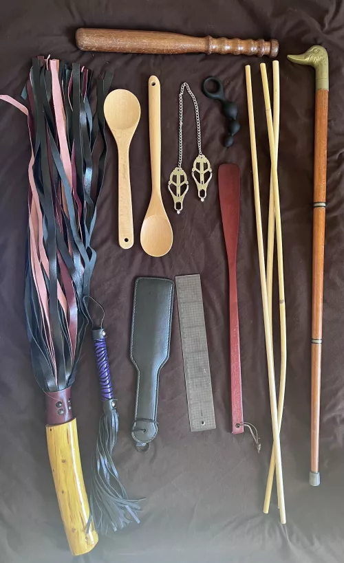 What should I add? by Zoanthroat