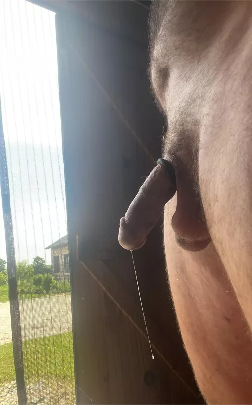 Who else likes a little precum? by Mainewoodman